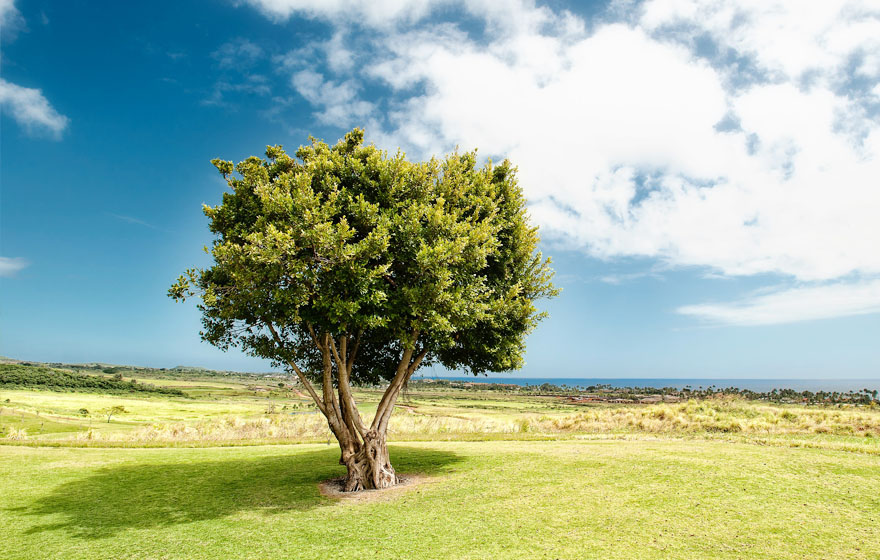 ng电子游戏(中国集团)官方网站