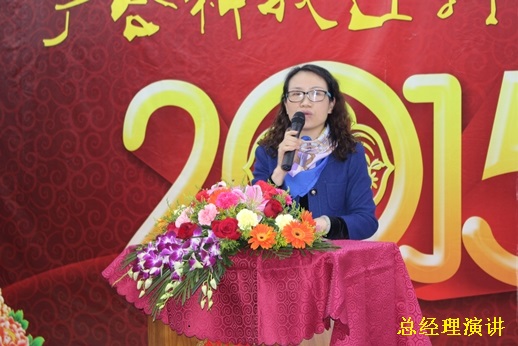 2015年ng电子游戏科技迎春晚宴